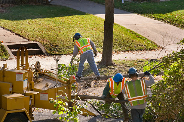 Best Emergency Tree Removal  in Indian River Estates, FL